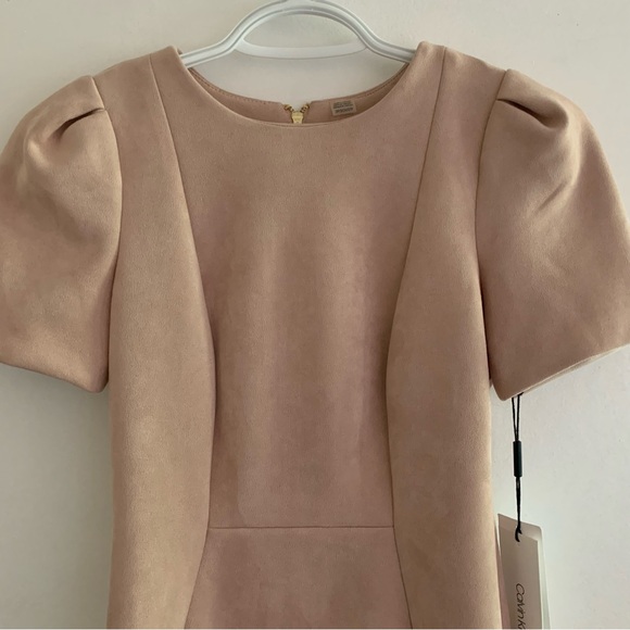 NWT Calvin Klein soft blush pink faux suede scuba sheath dress size 0P. - Picture 2 of 8
